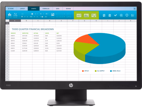 HP Monitor P203 20 inches